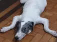 Théo 