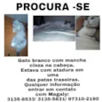 Epitáfio 