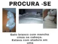 Epitáfio 