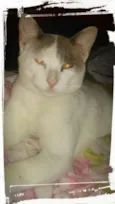 Epitáfio 