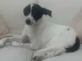 Nina