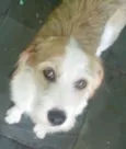 Mel