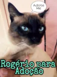 Rogério