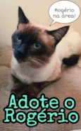 Rogério