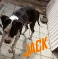 JACK