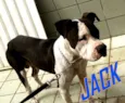 JACK