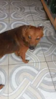Lola