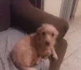 Bob