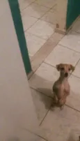 Lili