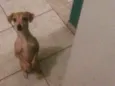 Lili
