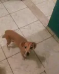 Lili