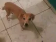 Lili