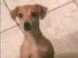 Lili