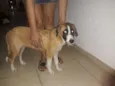Leka