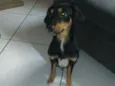 Lilica