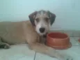 Kaique 