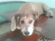 Kaique 
