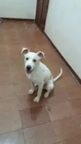 Marley