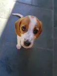 Não tem 