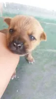 TOBIAS