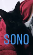 Oswaldo