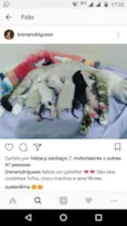 Ainda sem nomes