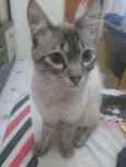 Jhony