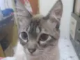 Jhony 