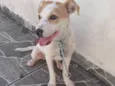 Paçoca