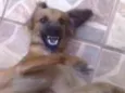Não tem nome ainda
