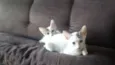 Ruth e Raquel