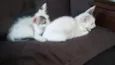 Ruth e Raquel