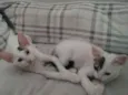Ruth e Raquel