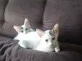 Ruth e Raquel