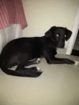 Lola 