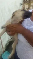 Branquinha