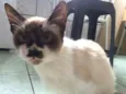 Mel