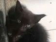Antonio e Enzo 