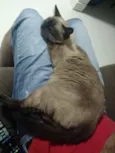 Bebê