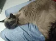 Bebê