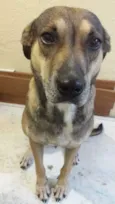 Chili