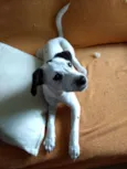 Miúda