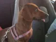 Nina