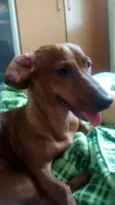 Nina