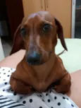 Nina