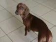 Nina