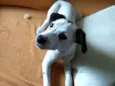 Miúda