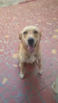 Fredy
