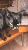 Caco