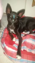Ayka